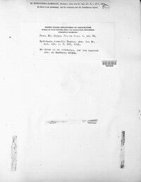 Image of Sporonema rameale